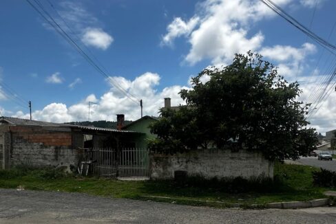 a91206f1-08cb-4494-8637-2026ee1a2cc4