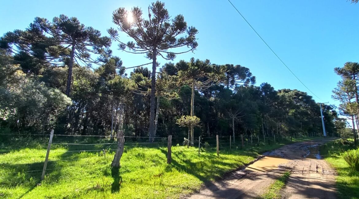 023d560b-9f05-4847-bc48-81b6718526f8