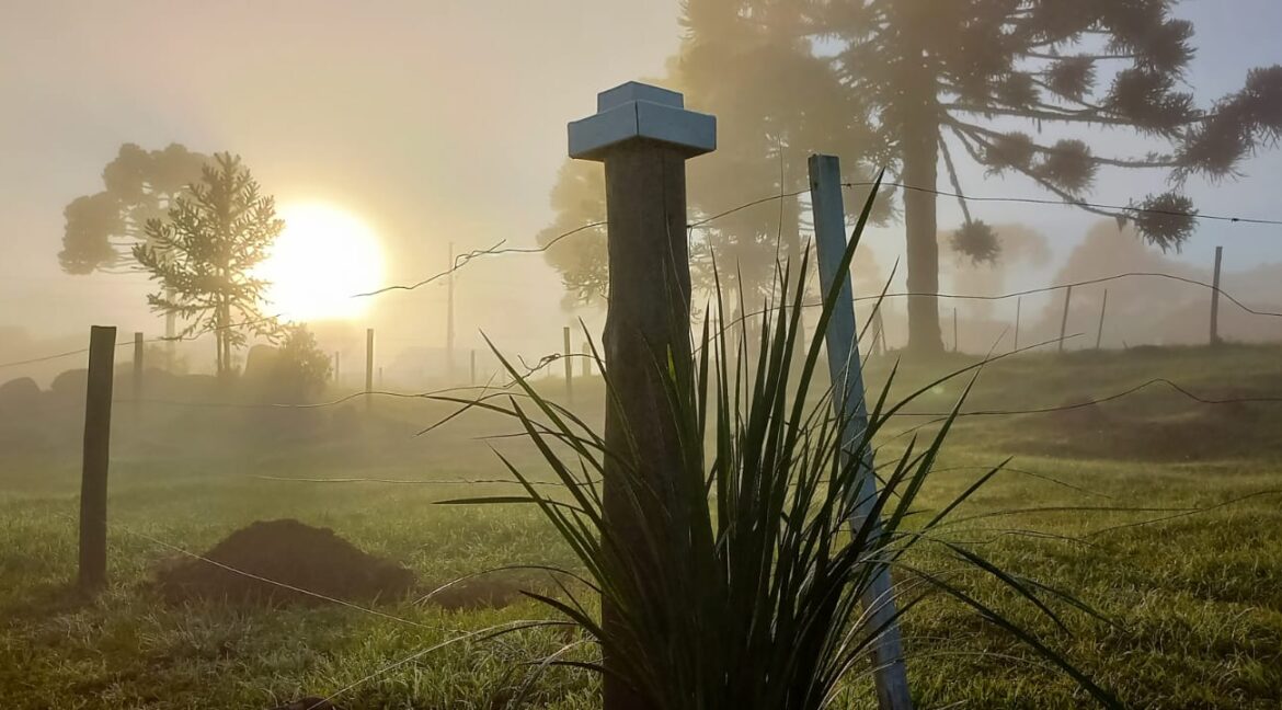 0dae192d-b151-4930-89bf-401deb2c6e83