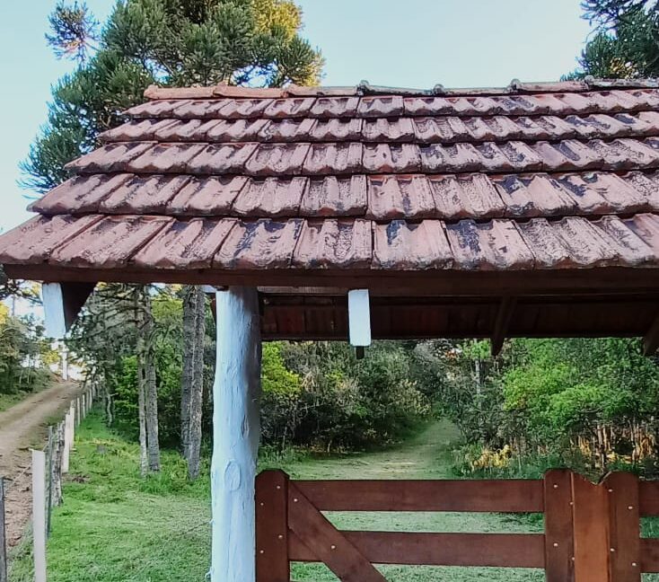 12fd48f2-31f6-4e90-8f4a-ff9eccb24499