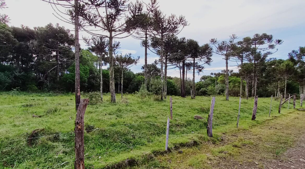 1372b034-fbbc-4e45-aa64-1eb35626db8d