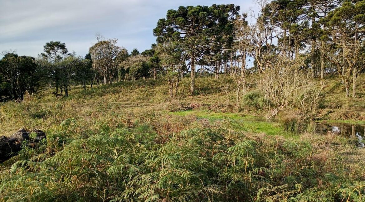 1db3a8d7-b0cd-4fd2-893c-83f91e19d3d2 (1)