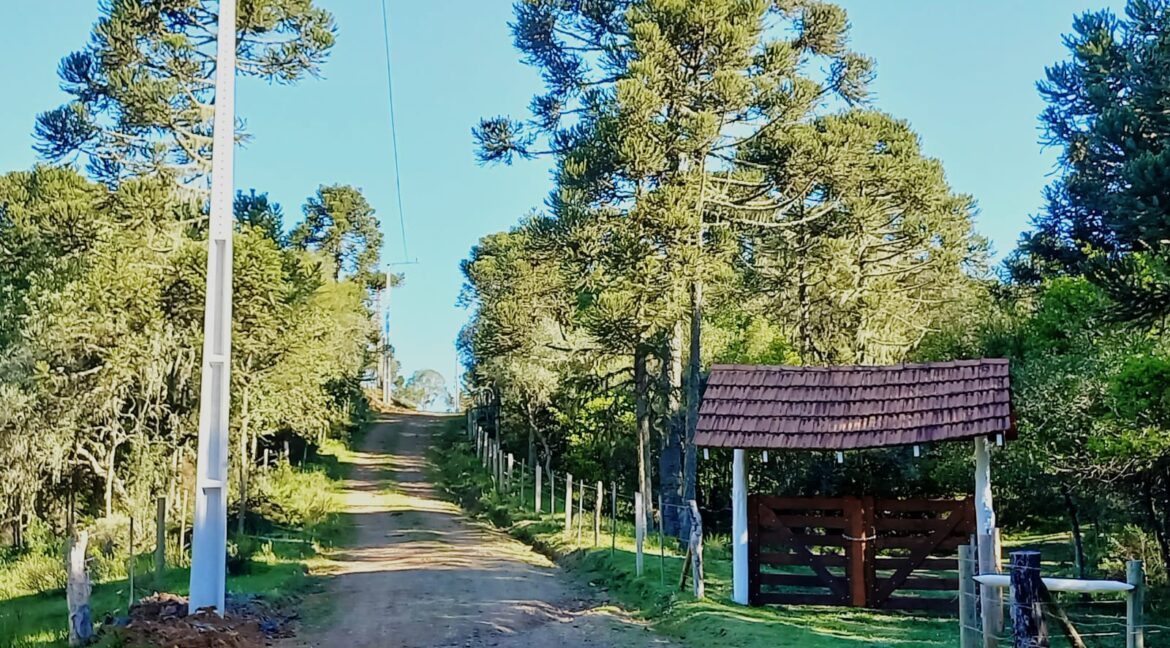 4ed8858d-a15d-4049-b02e-f521eac8f8bb