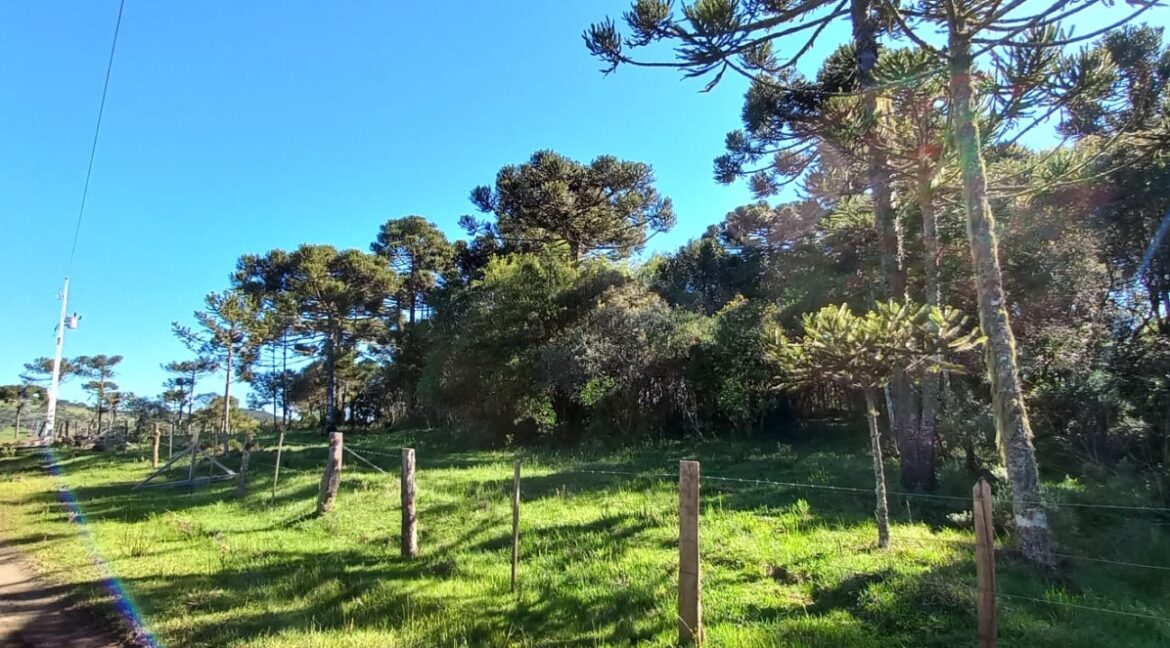 6664e9e2-1c6d-4ed7-9823-74792228b618 (1)