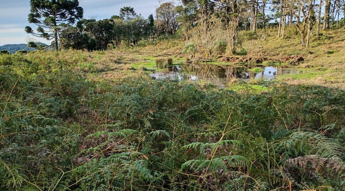 6bfb55e4-ccca-4058-bbd2-615b701a935f