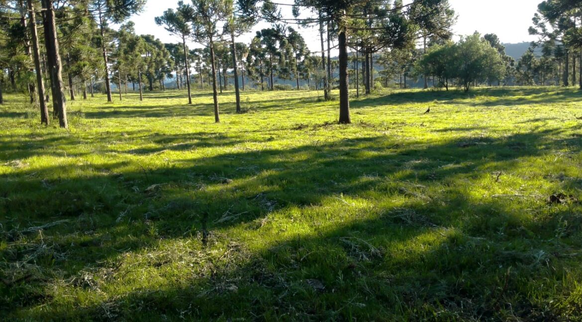 93f91f5e-f6aa-451f-bb90-416d9797f653