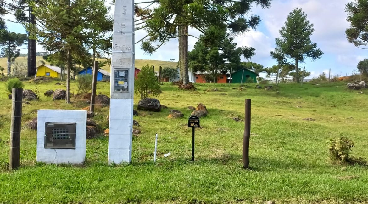 c5218c3d-f4a6-40ba-8147-ba62238c1b48