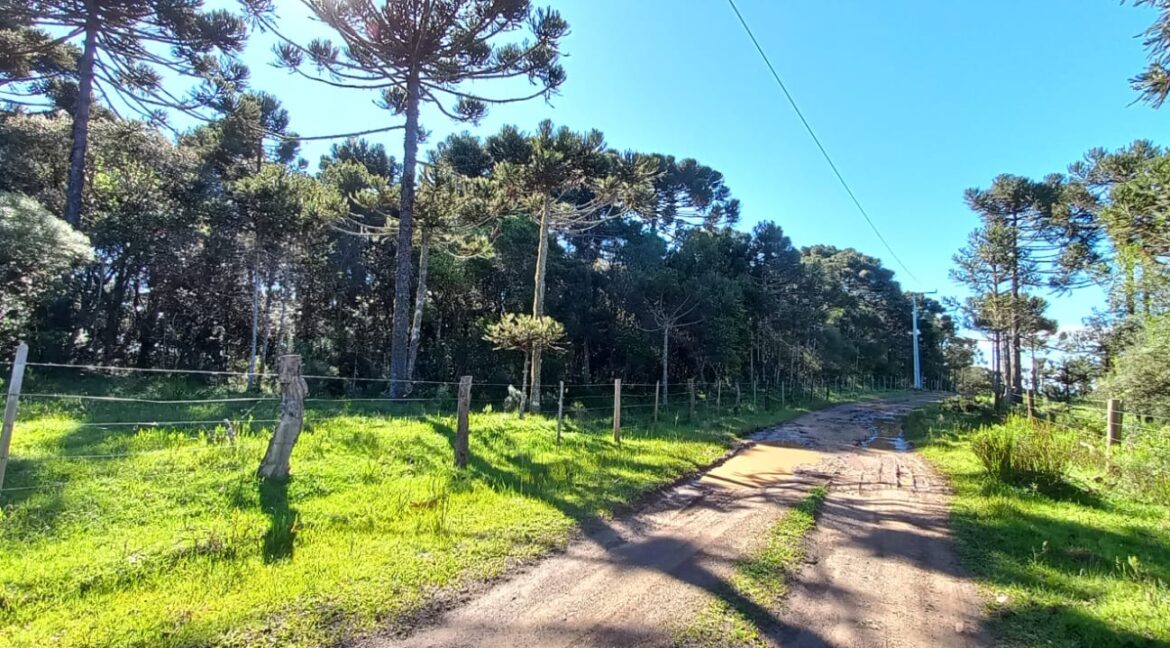 cfbe3ce9-304f-4125-954a-1d0f45185eed