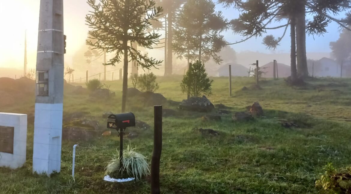 e8506e89-ad8f-45fb-909c-eacad924568d