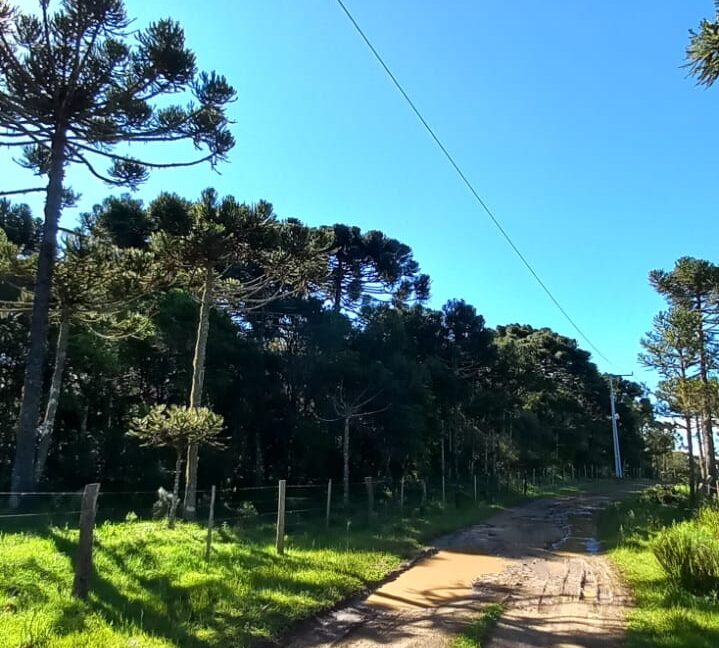 eeaba9d7-53d5-4bdc-bc55-9a701155bef1